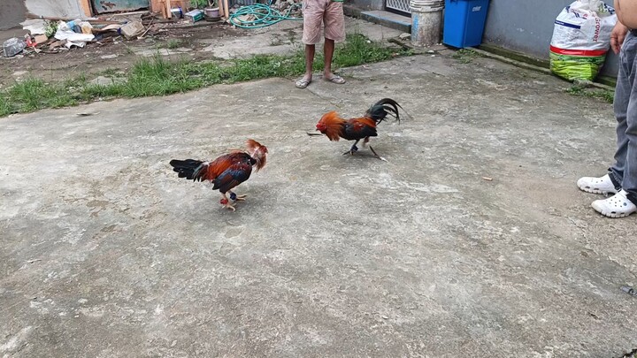 JJPE 5K BC VS RCB BASILAN BC