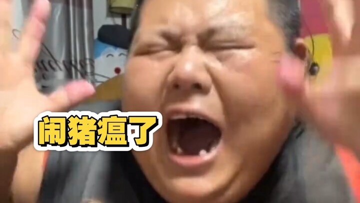 เกิดโรคอหิวาต์หมูแล้ว! เหลียงจื่อท้องใหญ่!