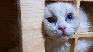 《不要去打扰别人的幸福》