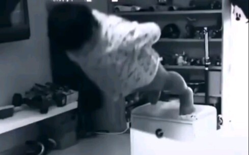 试  试  就  逝  世
