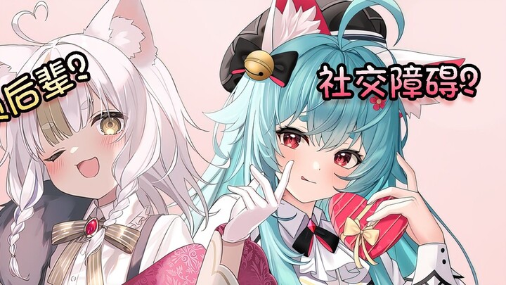 [Koni] Lolita Jepang berbicara tentang kesan pertamanya terhadap kucing stroberi Taffy, dari kesalah
