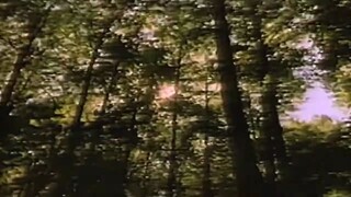 Whistle - Right Next To Me HD