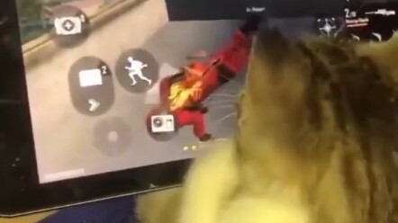 Cat: You’re drenched in sweat, aren’t you, bro? Just… just sit down already!