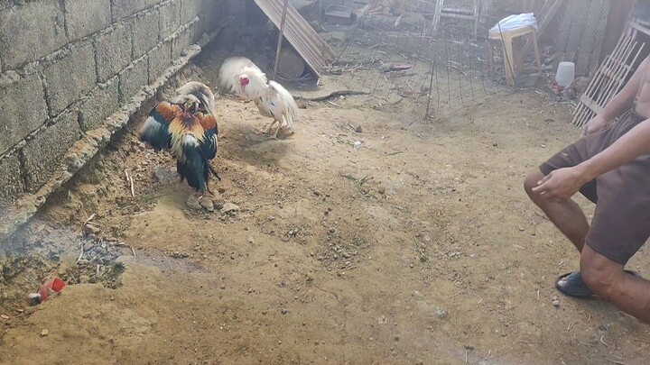 tagal walang bitaw liwanag pa