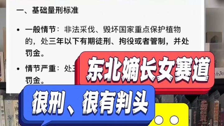 Lomba anak perempuan sulung di Tiongkok Timur Laut, makin seru sampai bikin pusing!