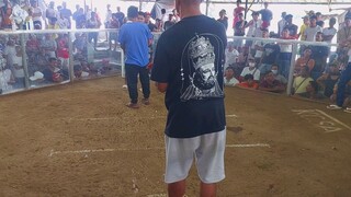 champion 3hits kcsa
