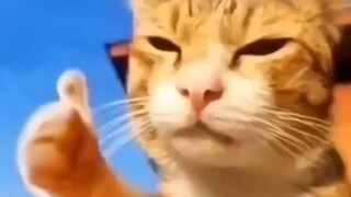 سنوات من الفضل تدمر في لحظة واحدة