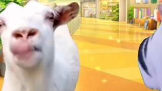 【Familiar/Cat meme】A cat family going shopping