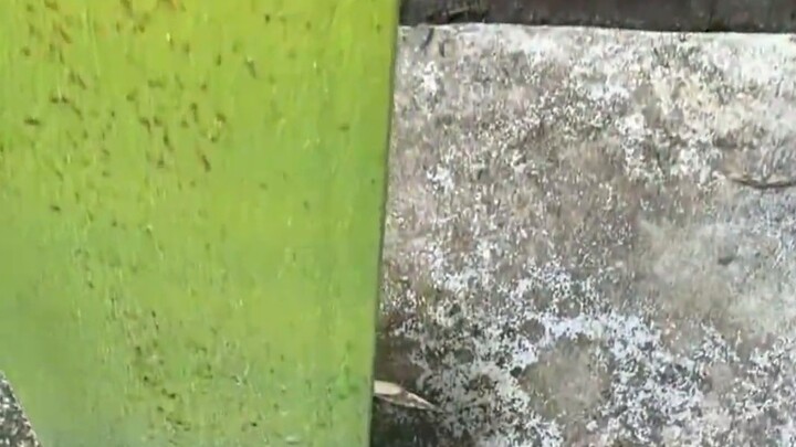 It takes 163 days for water to wear away a stone