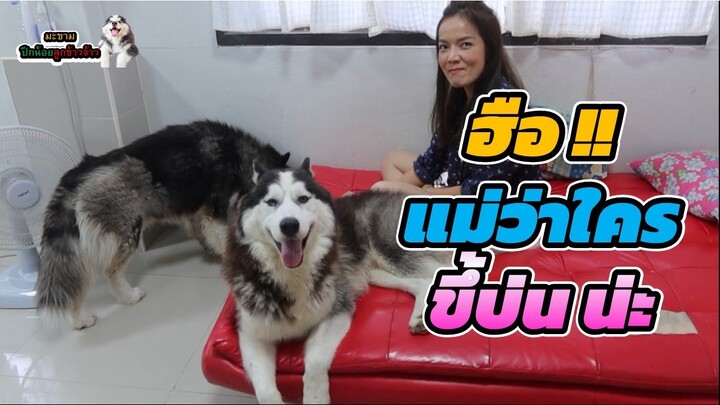 พี่ขามคุยไปบ่นไป ขึ้บ่นเหมือนใครน่ะ | มะขาม ปึกน้อย ลูกข้าวจ้าว EP. 326