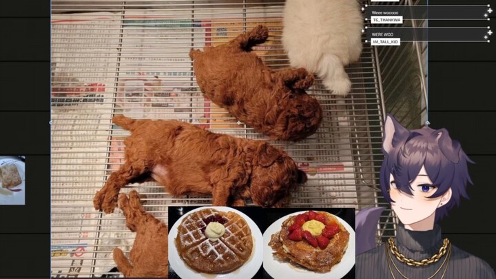 [shoto/cooked cut] A stupid dog who thinks a dog is fried chicken