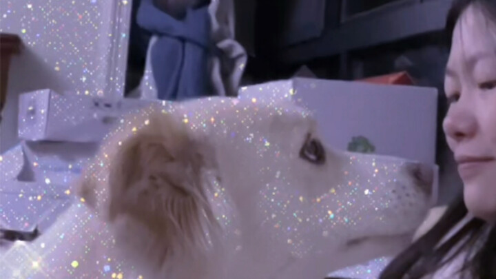 จูบสุนัขของคุณ แล้วดูปฏิกิริยาของเธอสิ!