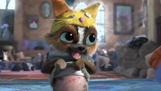 Con chó này đã chữa khỏi bệnh cho biết bao người muốn bỏ cuộc! con mèo đi giày