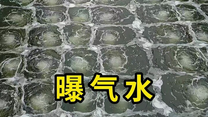 Aerated water has low density and is very dangerous!