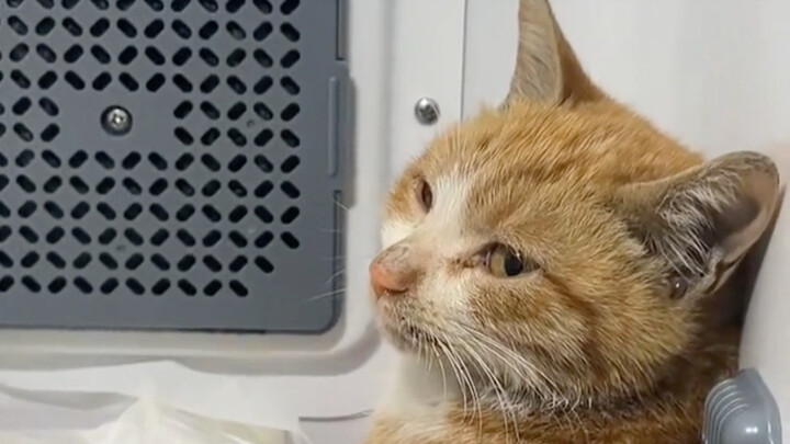 Dia seperti anak kecil yang tak berdaya