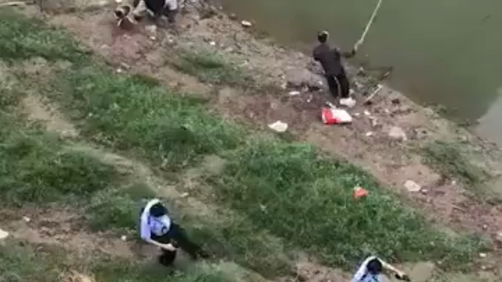 Hiệu ứng chương trình: dùng xác chết để nhử cá