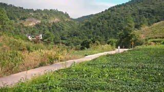 HE VENUS 🦩 EPISODE 16 🇨🇳