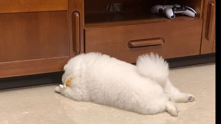 Bolanya jatuh ke dalam!