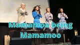 Mamamoo being Mamamoo