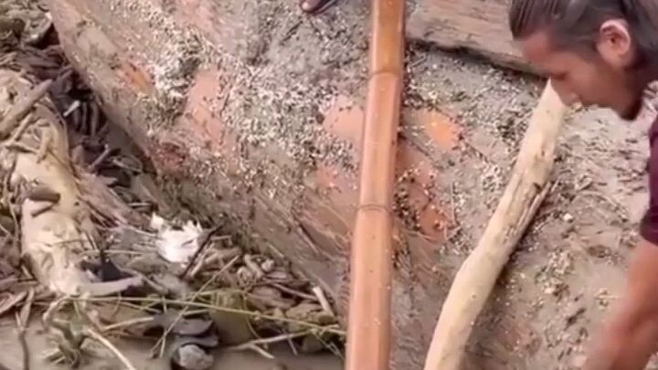 flood in nepal2026 many people dies 😭😭😭😭