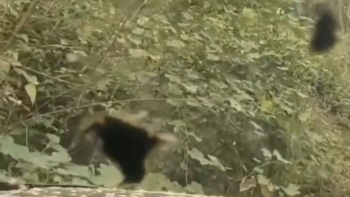 ขับตามเส้นทางนำทางมาจนถึงจุดนี้แล้ว แต่คนขับหัวรั้นก็ยังคงมุ่งหน้าต่อไป