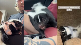 لا يُسمح بتربية ابن مقرض صغير بهذا الموقف الفظ!