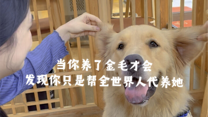 Only when you own a Golden Retriever do you realize you’re just babysitting her for the whole world!