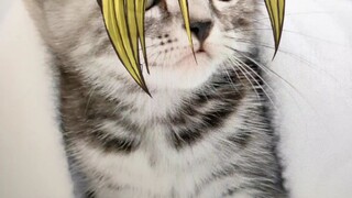 mao