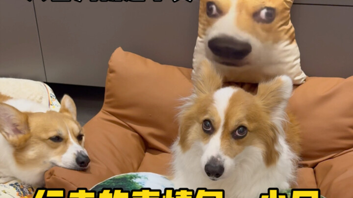 Nuôi một biểu tượng cảm xúc biết đi