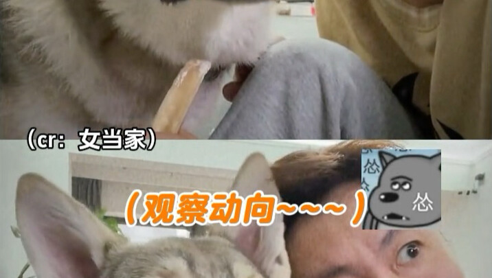 هذه المدونة لطيفة جدًا (صاحبة المنزل الأنثى، آهيه!)