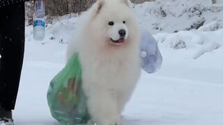 “เมื่อคุณทนไม่ไหวแล้ว แนะนำให้ลองดูสิ่งนี้”