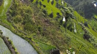 🛵 𝑮𝒐 𝒐𝒖𝒕 🍃“希望每个昨天今天明天都很快乐 ”
