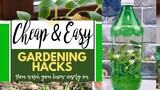 AWESOME GARDENING HACKS  || GROW YOUR OWN PLANTS TIPS