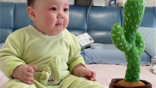 Bahkan kaktus pun tidak bisa membujuk bayi, dan dia tahu cara menguji berbagai hal di usia yang begi