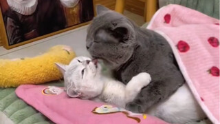 Hidup sebelum dan sesudah menikah ini, perbedaannya terlalu besar.