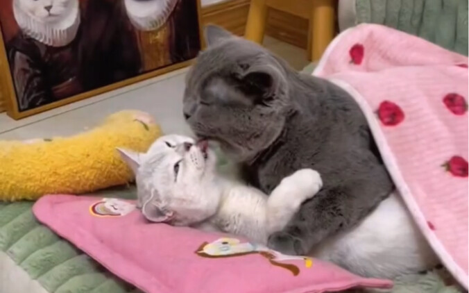 这婚前婚后的日子，落差太大了