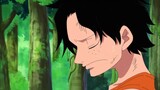 Luffy & Ace - Promise of a lifetime