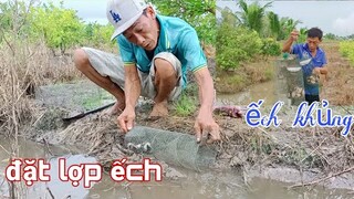 Tư đặt lợp ếch dính thấy ham