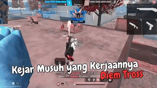 Capek bet Musuhnya Manja Pengen di Datengin Tross🗿
