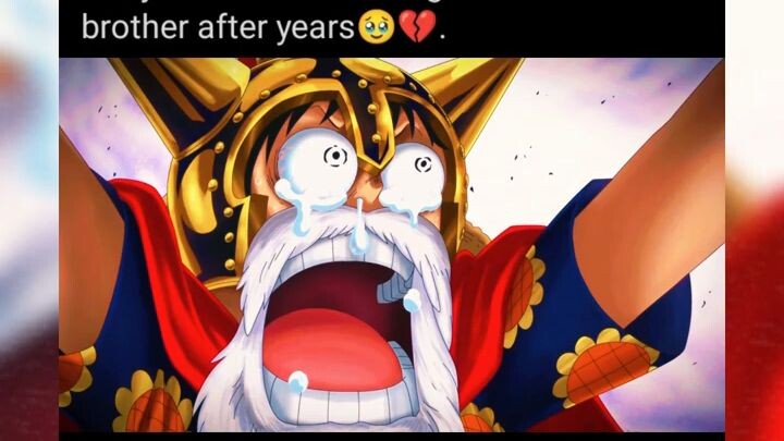 Luffy and Sabo meet again🥹💔|#one peace