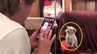 I know that I made a good choice. My CAT!