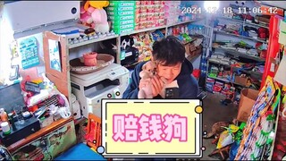 ลูกสุนัขจรจัดตัวใหม่กำลังโตขึ้นเรื่อยๆ ร้านกำลังจะล้มละลายเพราะอาหารเยอะแยะไปหมด พรุ่งนี้ฉันจะไล่มัน