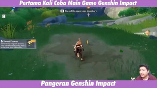 Bang windah pertama kali nih main game ini !