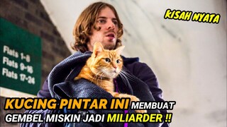 SI KUCING LUCU YANG MEMBUAT GEMBEL MISKIN MENJADI KAYA RAYA - Alur Cerita Film