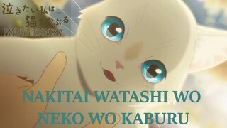 【FANDUB INDO】TRAILER Nakitai Watashi wa Neko o Kaburu (2020) BAHASA INDONESIA