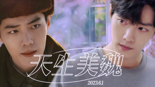 《天生美魏》第二集 | 自制搞笑短剧  春生×大魏  一野×小魏