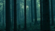 75 SCARY SKINWALKERWENDIGO STORIES ULTIMATE MEGA COMPILATION - Copy