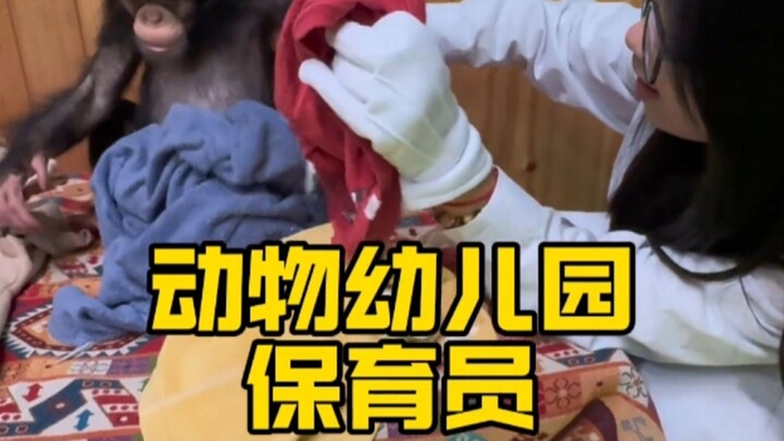 What's it like to be a little orangutan keeper for a day?!