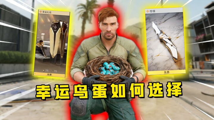 Nhận miễn phí da dao, da gạch? Học ngay cách quay sự kiện trứng chim may mắn!