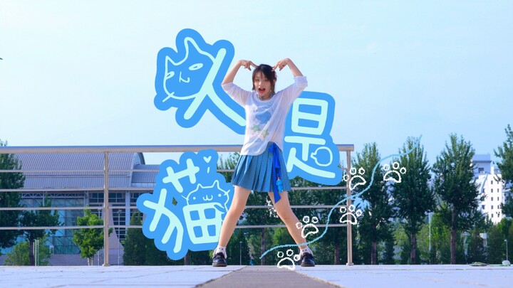 คนคือแมว!୧₍˄·͈༝·͈˄₎୨
